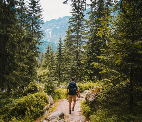 世界の「歩く」文化