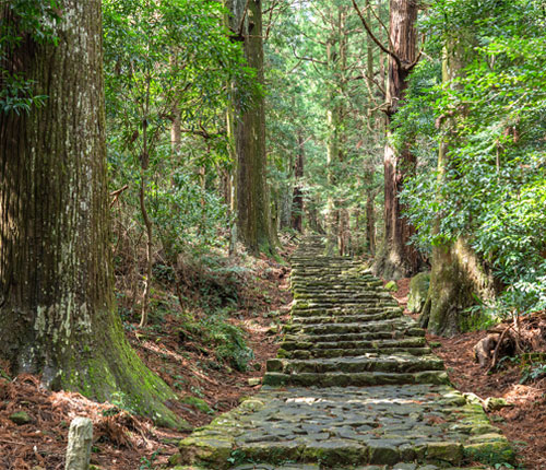 世界の「歩く」文化
