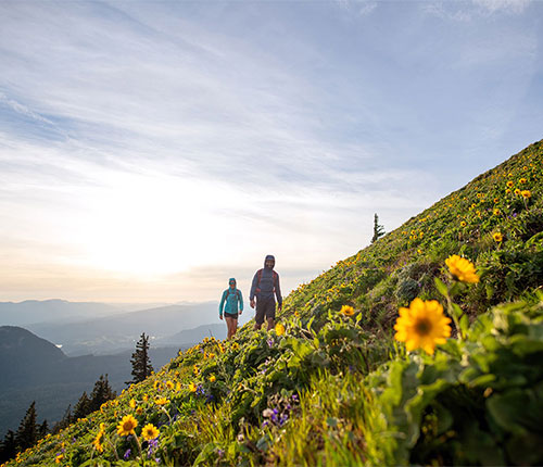 世界の「歩く」文化